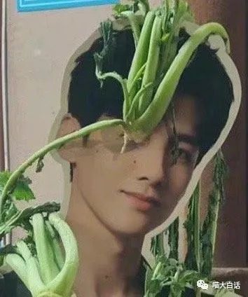 第一次和男票接吻,和男朋友接吻高甜时刻