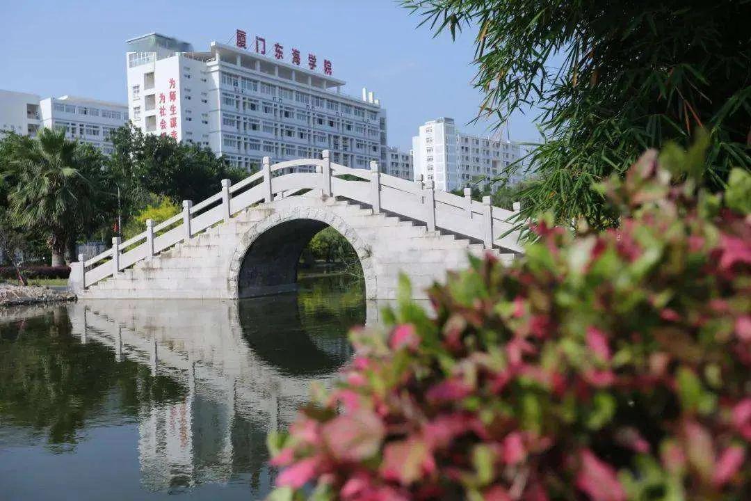 母校生活二三事,关于大学母校