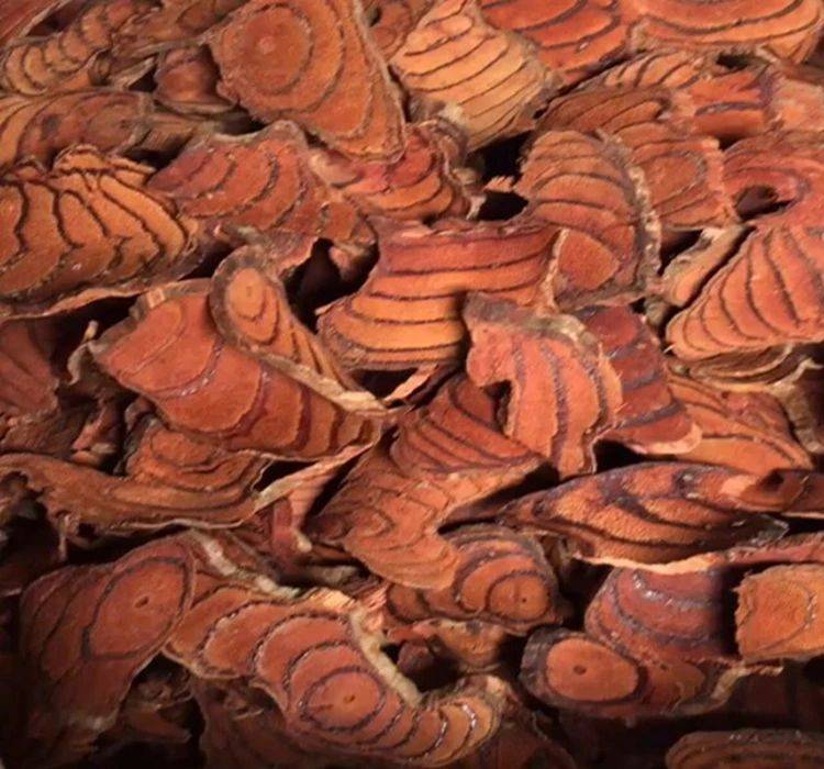 李可老中医治疗再生障碍性贫血,民间老中医治再生障碍性贫血