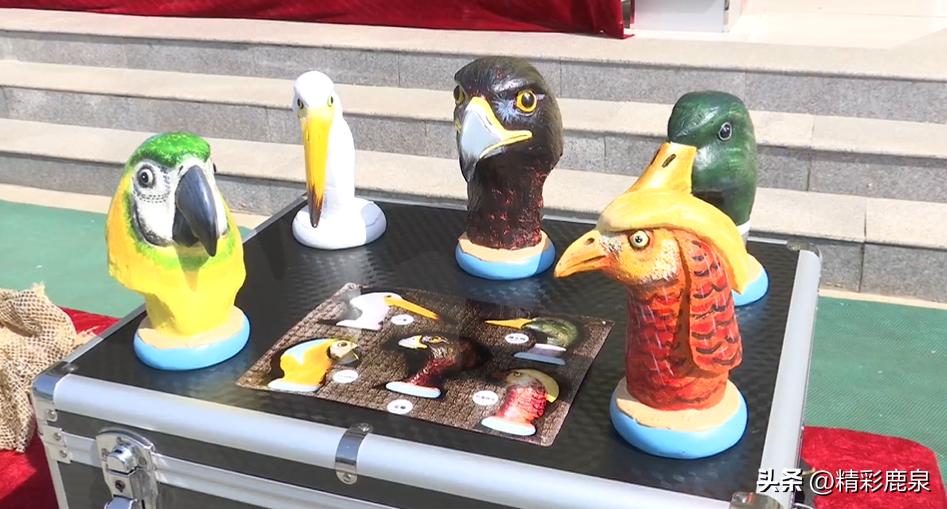 鹿泉：爱护动物共建生态家园