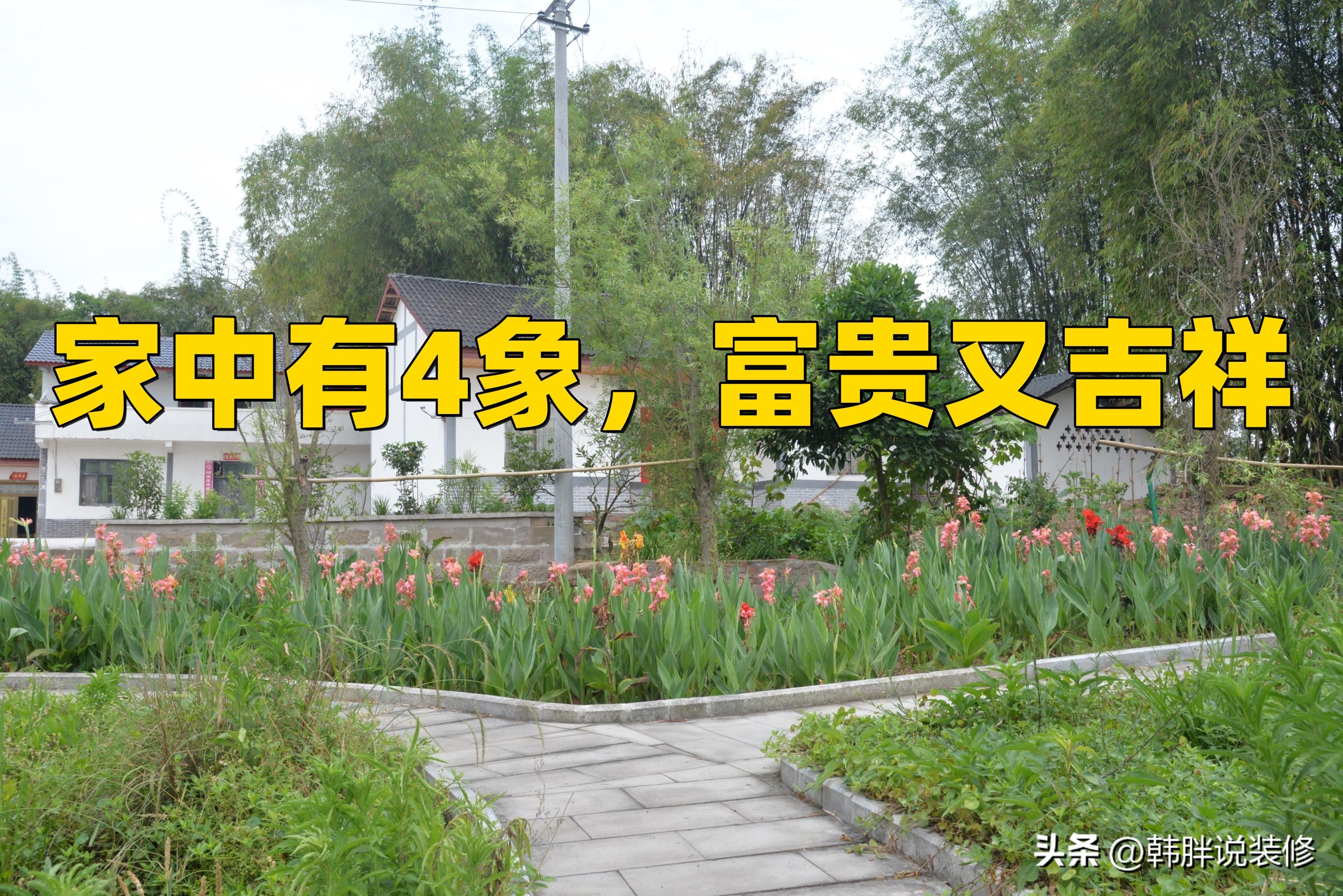 风水四象代表什么运势,家中有三象子孙出贵人