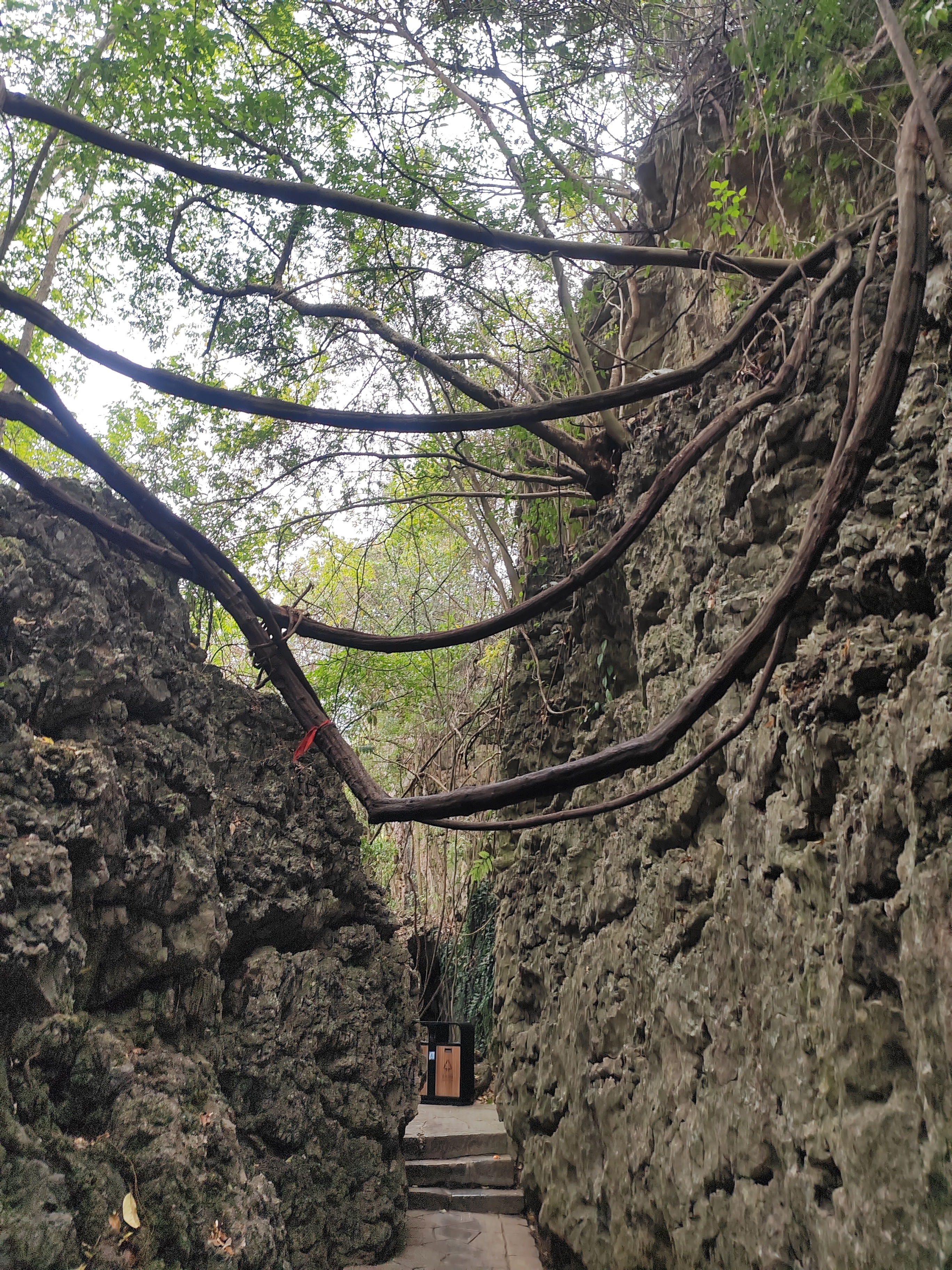 游贵州黄果树视频,贵州黄果树瀑布旅游攻略天星桥