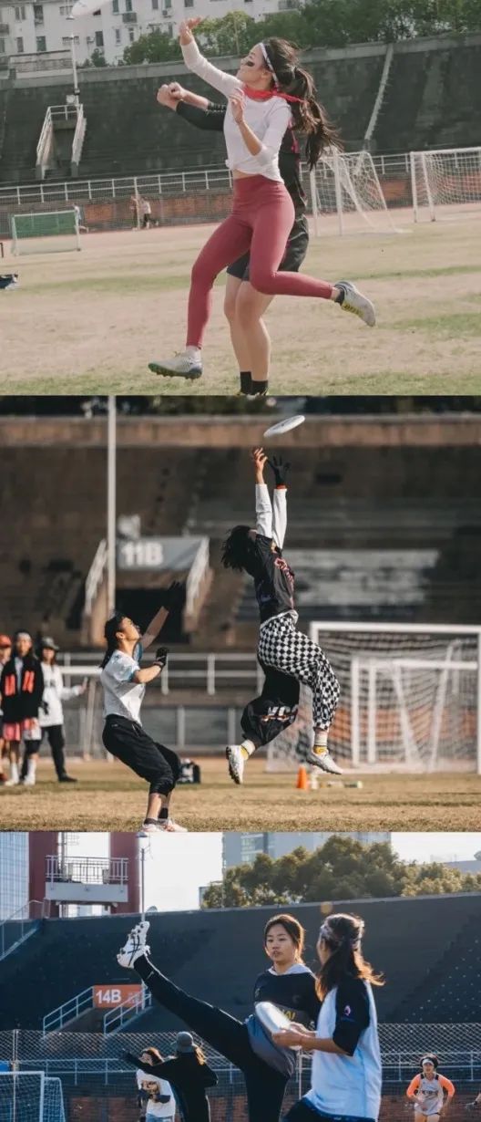 上海玩宠物,上海玩狗户外