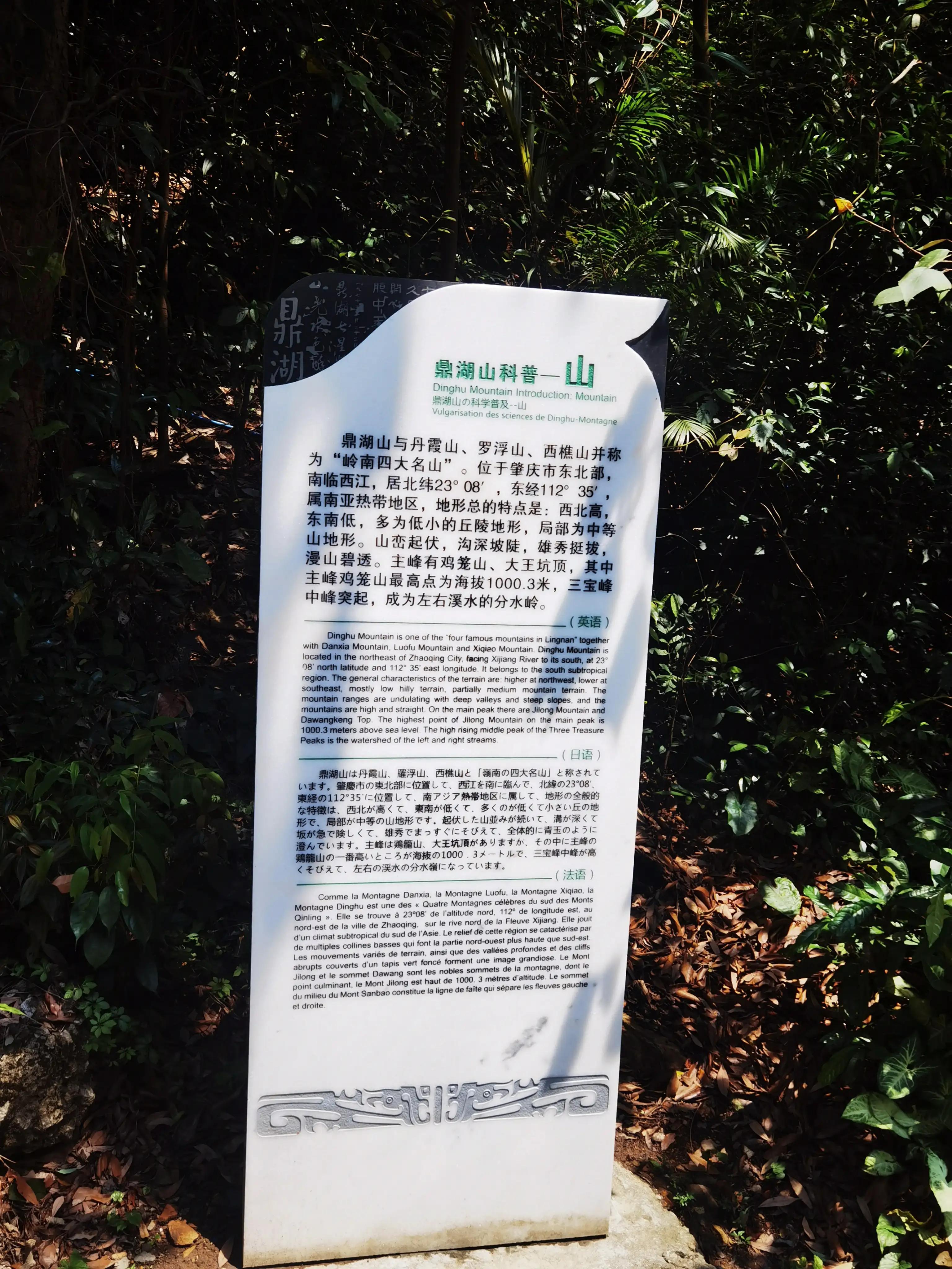 五一推荐去鼎湖山吗,鼎湖五一游攻略