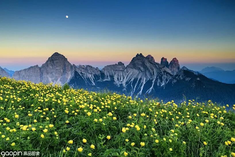 夏季清凉素材,夏日清凉的素材