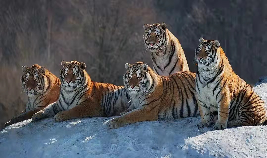 合肥的高中是如何择校的,2022届合肥168高中高二分班