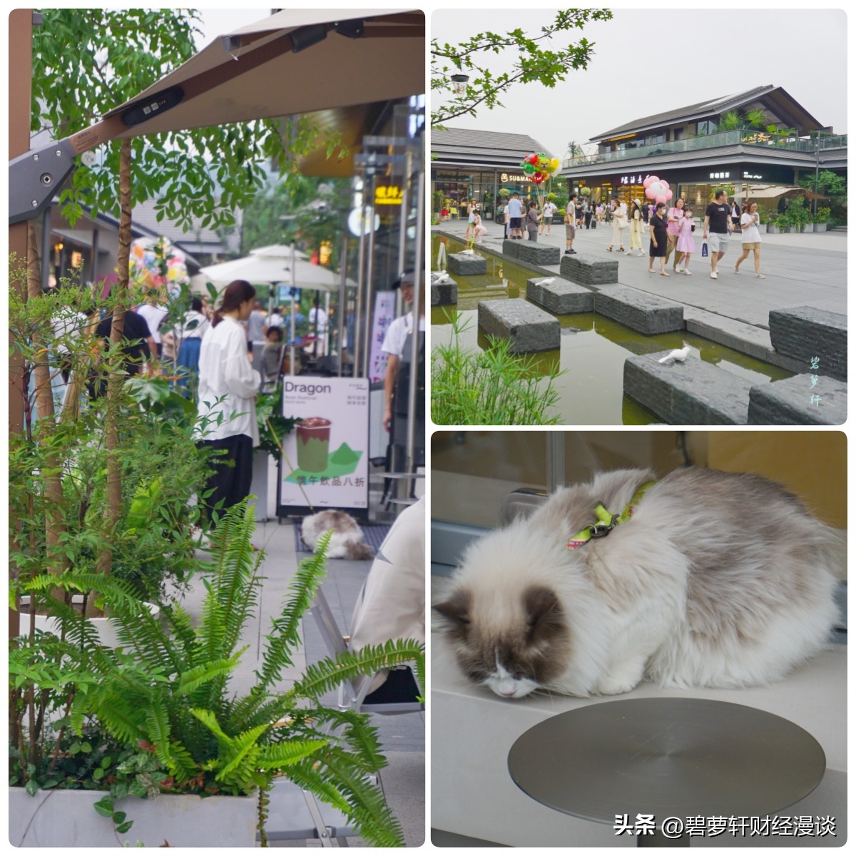 穿越5000年漫步良渚古城遗址公园,穿越千年探秘南粤