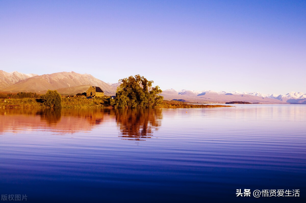 如何利用ChatGPT快速赚钱,利用chatgpt盈利可信吗