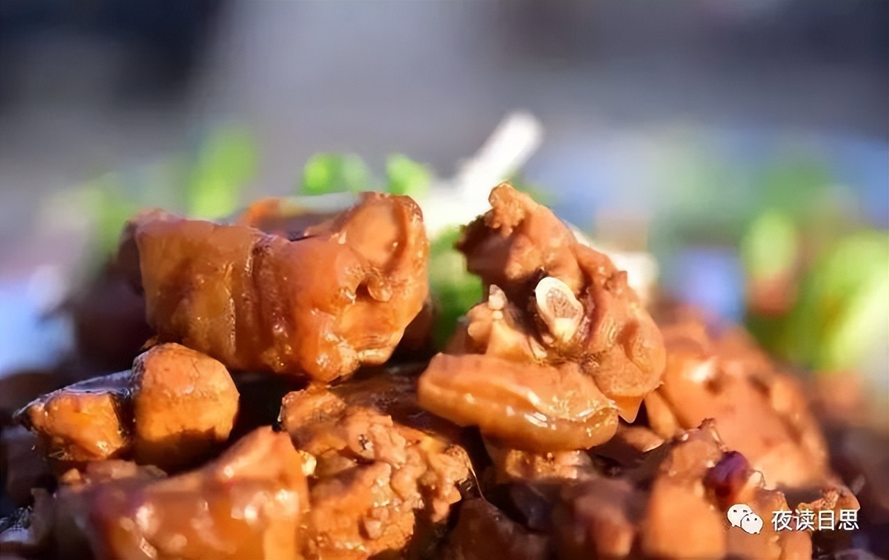 兔年的兔子是怎么样的,兔年兔子特点