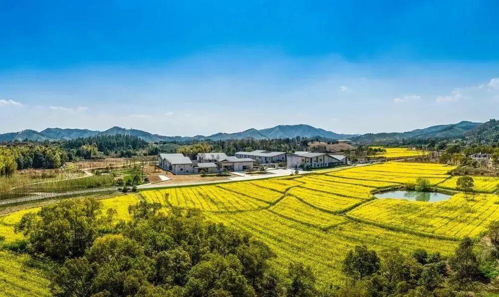 五一周边度假好去处,江浙沪周边2天度假