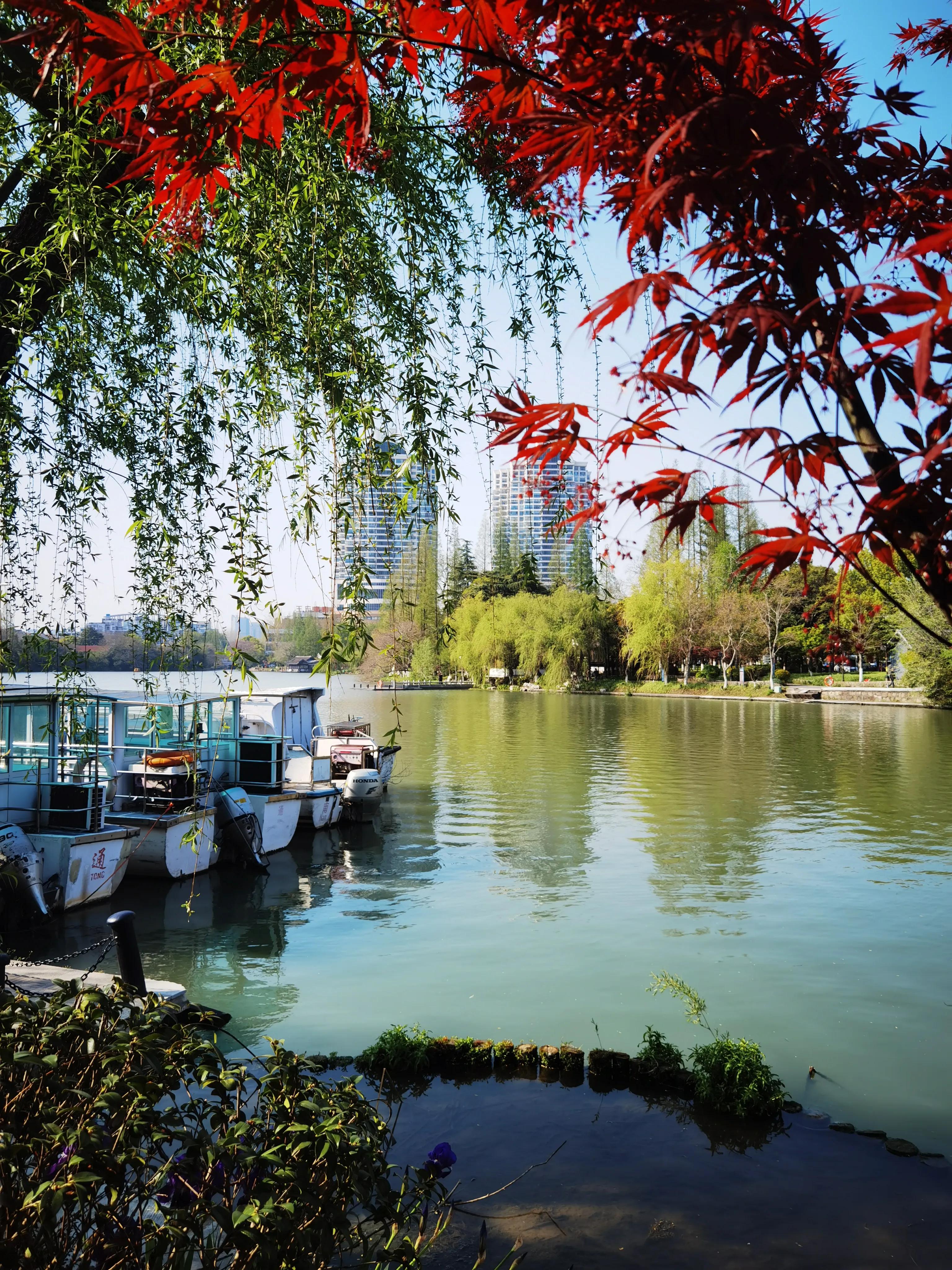 南通濠河周边小区,南通濠河平房