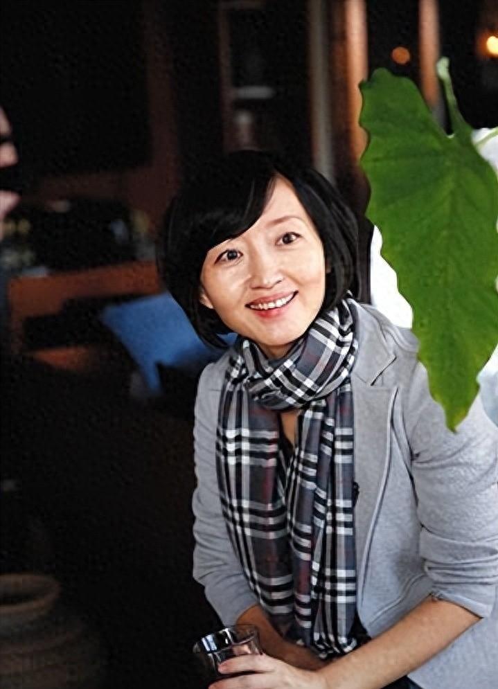 柴静事件引发的争议与思考,柴静回应非议视频