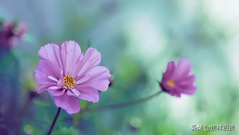 2023年3月份哪天是节假日,2023年4月有哪些法定节假日