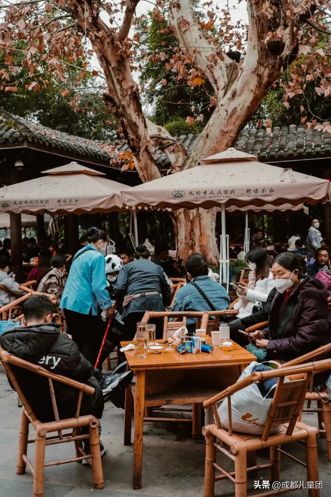 成都茶馆文化的成因,成都的茶馆文化意义