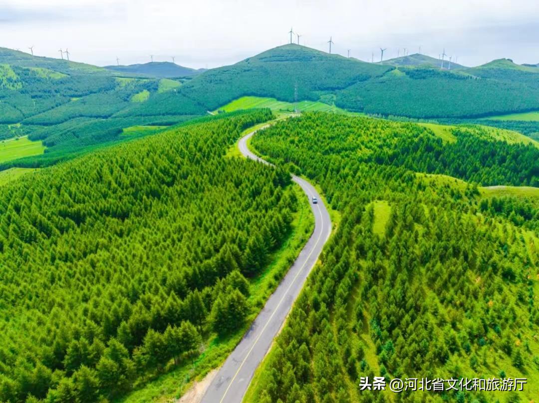 向河北,向着坝上草原出发