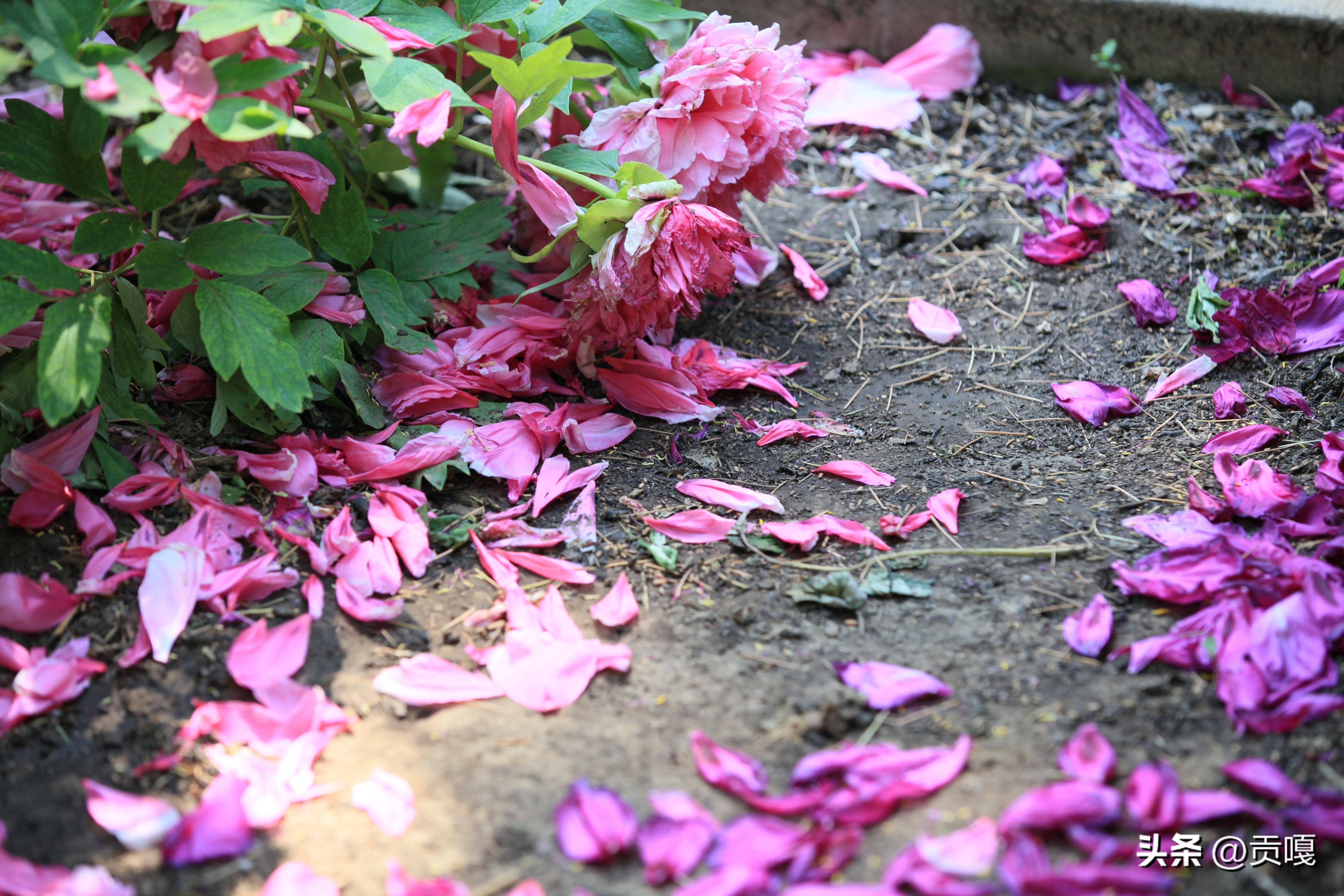 迎财神的七律诗,大年初四七律