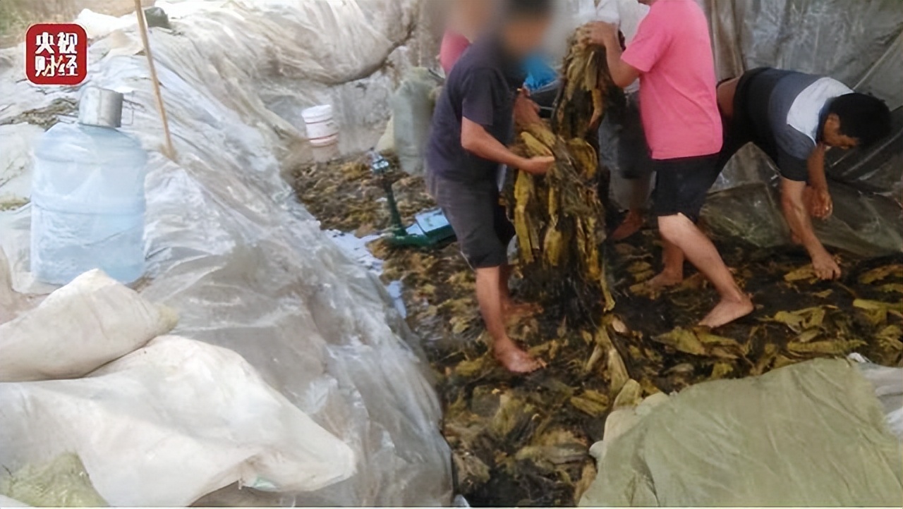 康师傅条件,康师傅入职审查严格吗