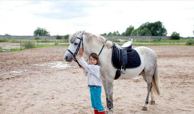 迪拜公主萨拉玛是第几位公主,迪拜公主萨拉玛真实生活视频