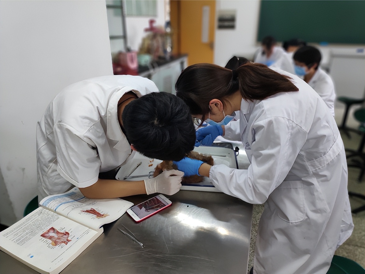 人体遗体捐献做标本有没有补偿,标本制作师工作