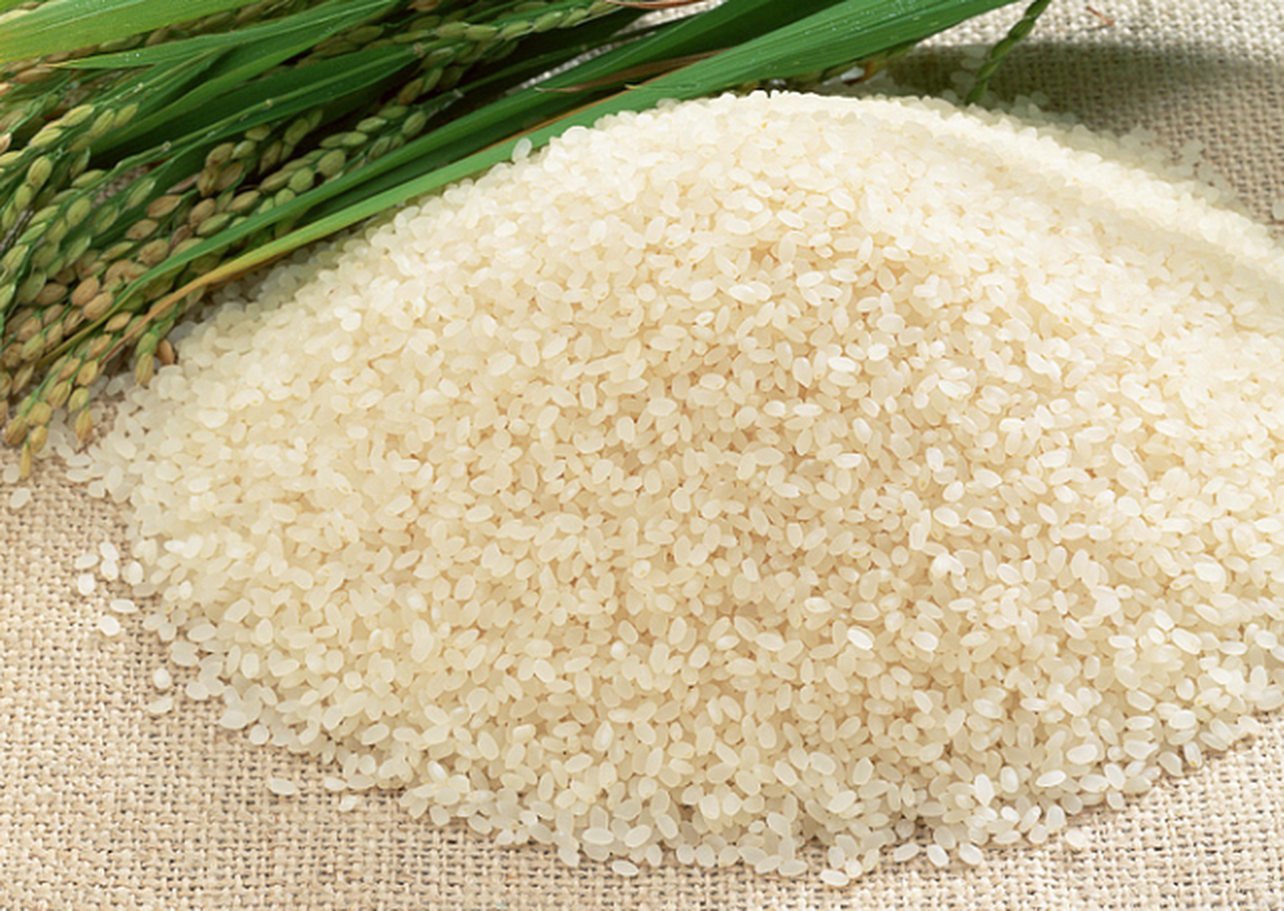 全国最好吃的大米排名,全国最好吃的大米产地排名