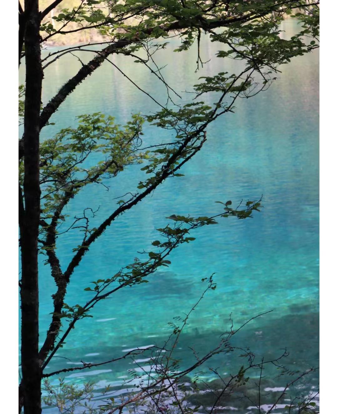 焦虑最好的治愈方法就是旅游,缓解焦虑的办法就是去一次旅行