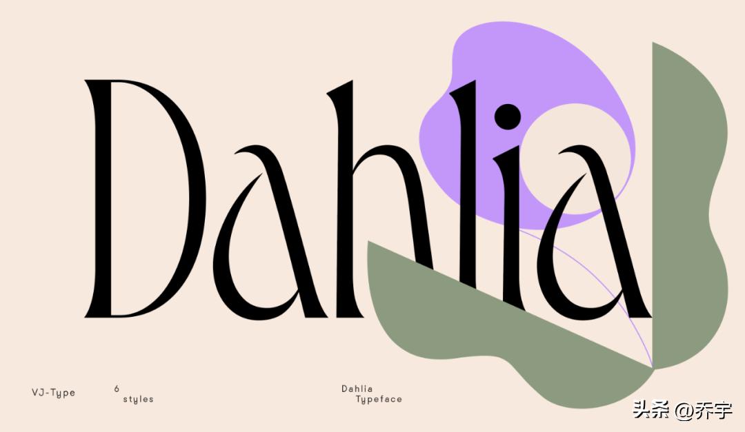 免费下载英文字体大全,字体库好看的英文字体