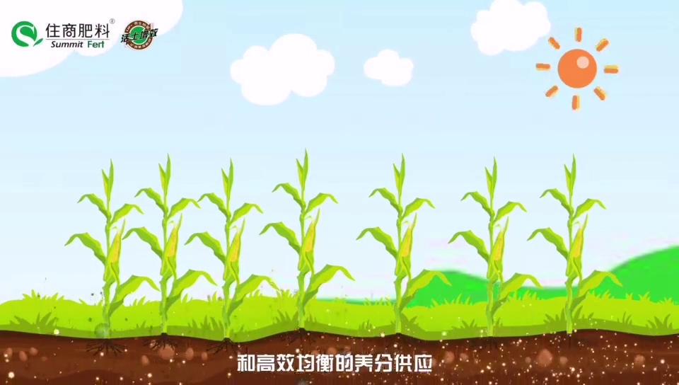 住商肥料所含成分,住商肥料助力精品农业