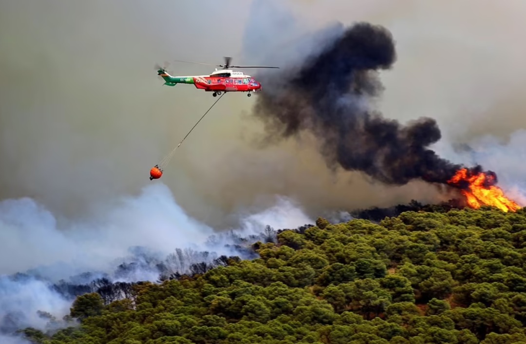 英国40度高温与中国40度高温,英国40度很热吗