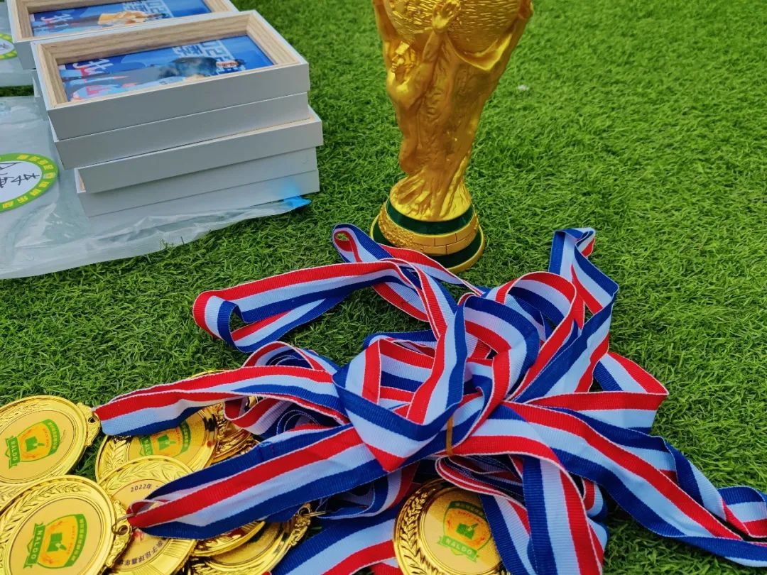 足球亲子嘉年华活动方案,足球嘉年华亲子作品