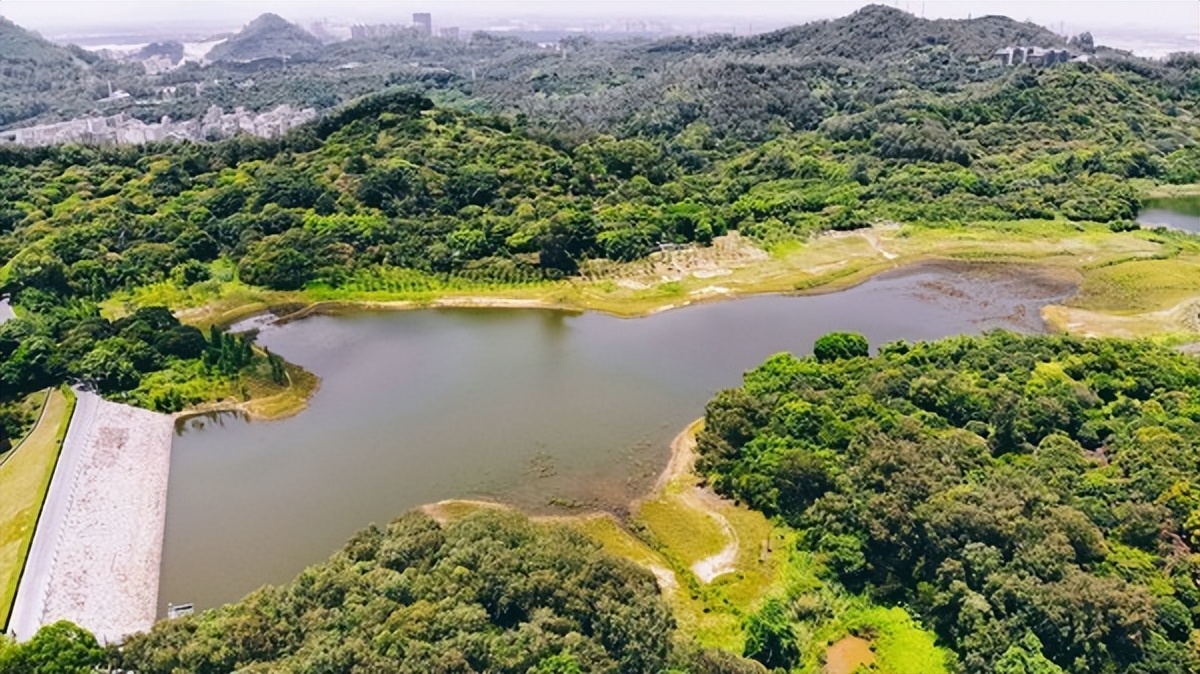 湾区光影魅力,南沙湾区超美风景线