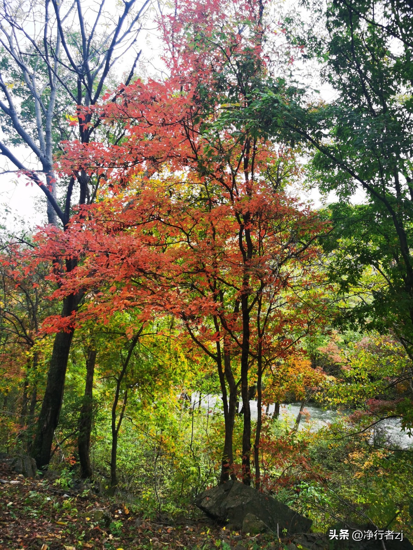 图们江口岸游记,从图们市到牡丹江自驾游