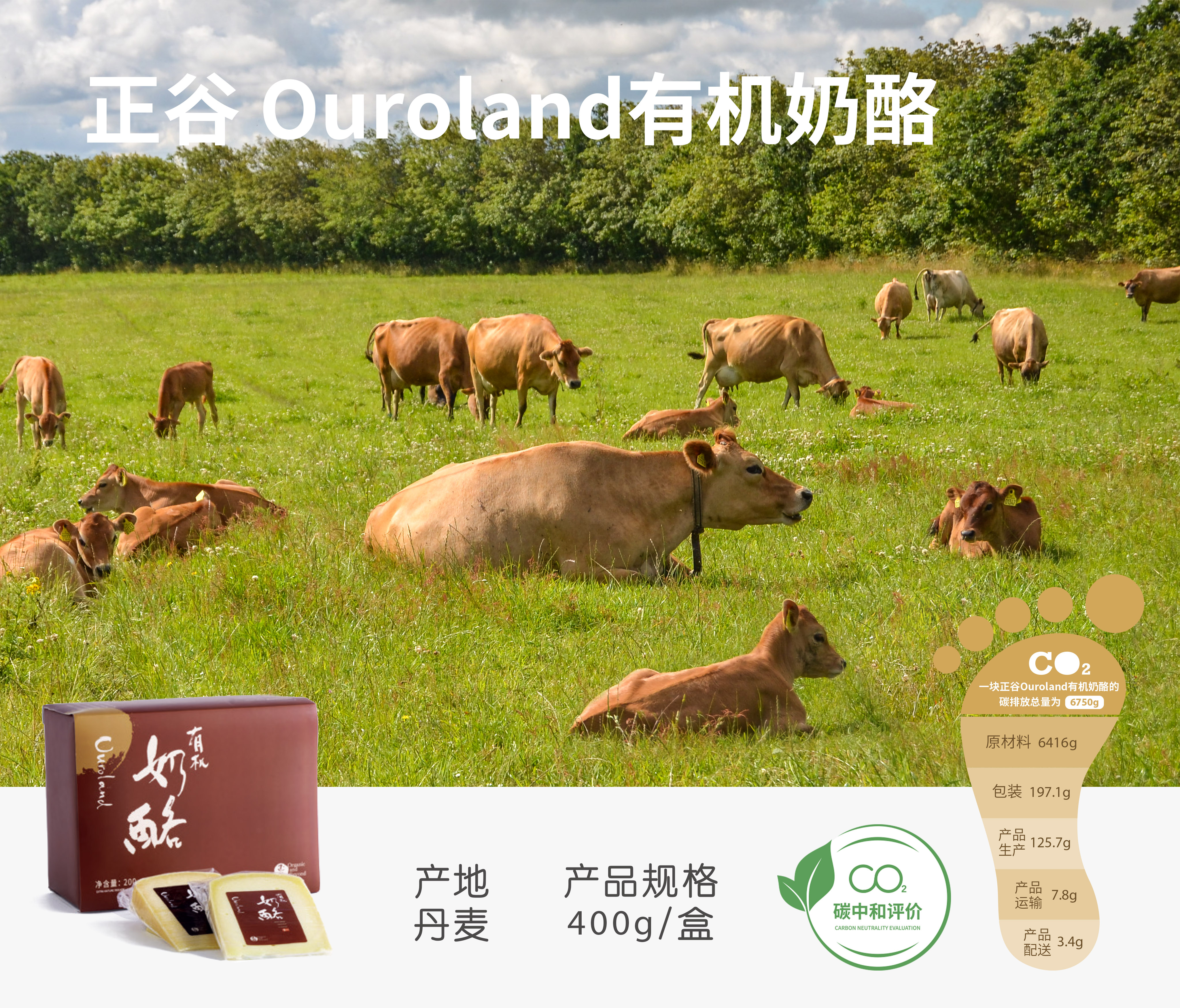 三联生活周刊前主编,三联生活周刊陈立人