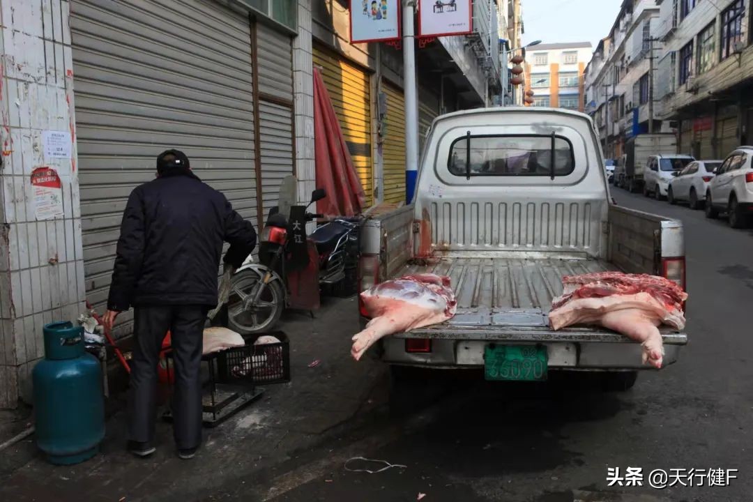 汽车投稿作品欣赏,汽车征文获奖