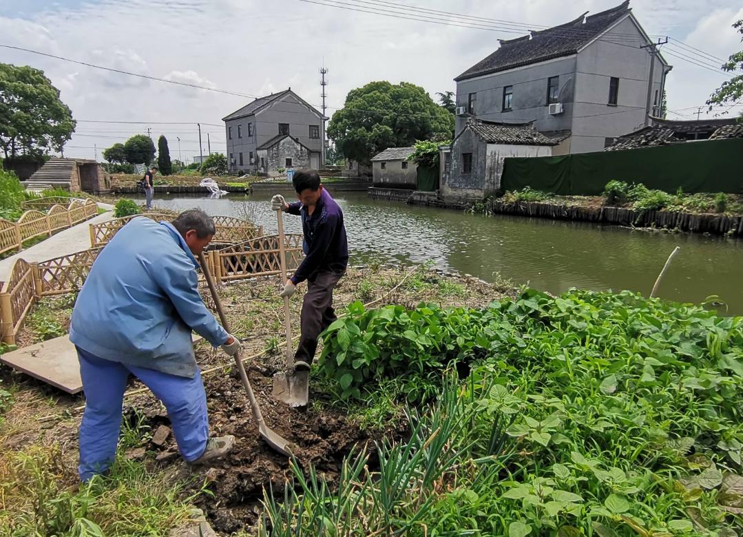关于农村改革的最新政策,农村改革新政策2020年