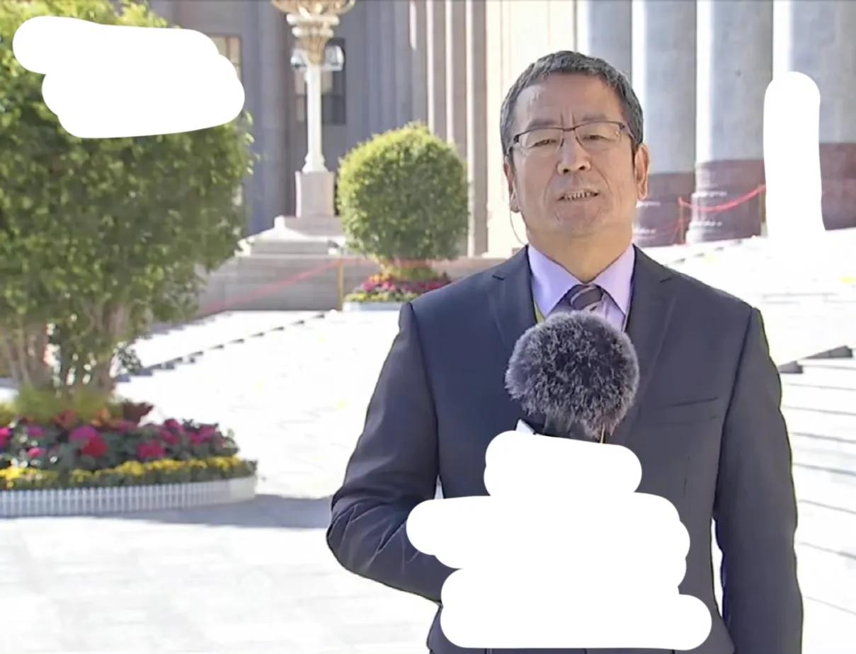 白岩松儿子白清扬学霸,白岩松儿子白清扬简介