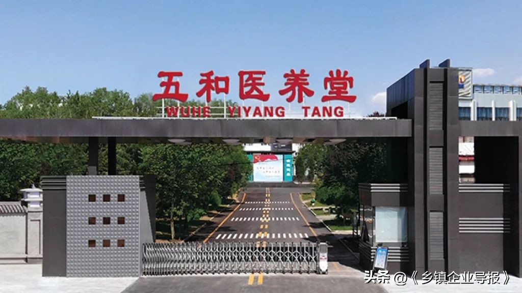 乡村振兴电商助农图片,乡村振兴助农计划项目商业模式