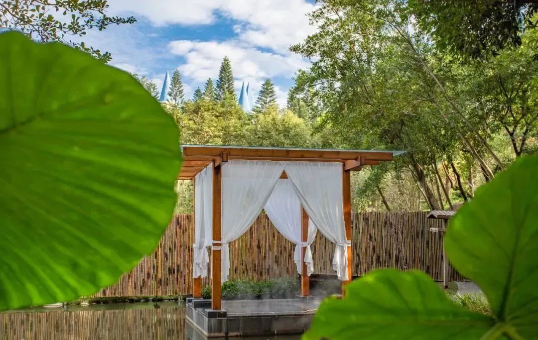 漳州泡温泉旅游攻略路线,春节漳州一日游最佳去处