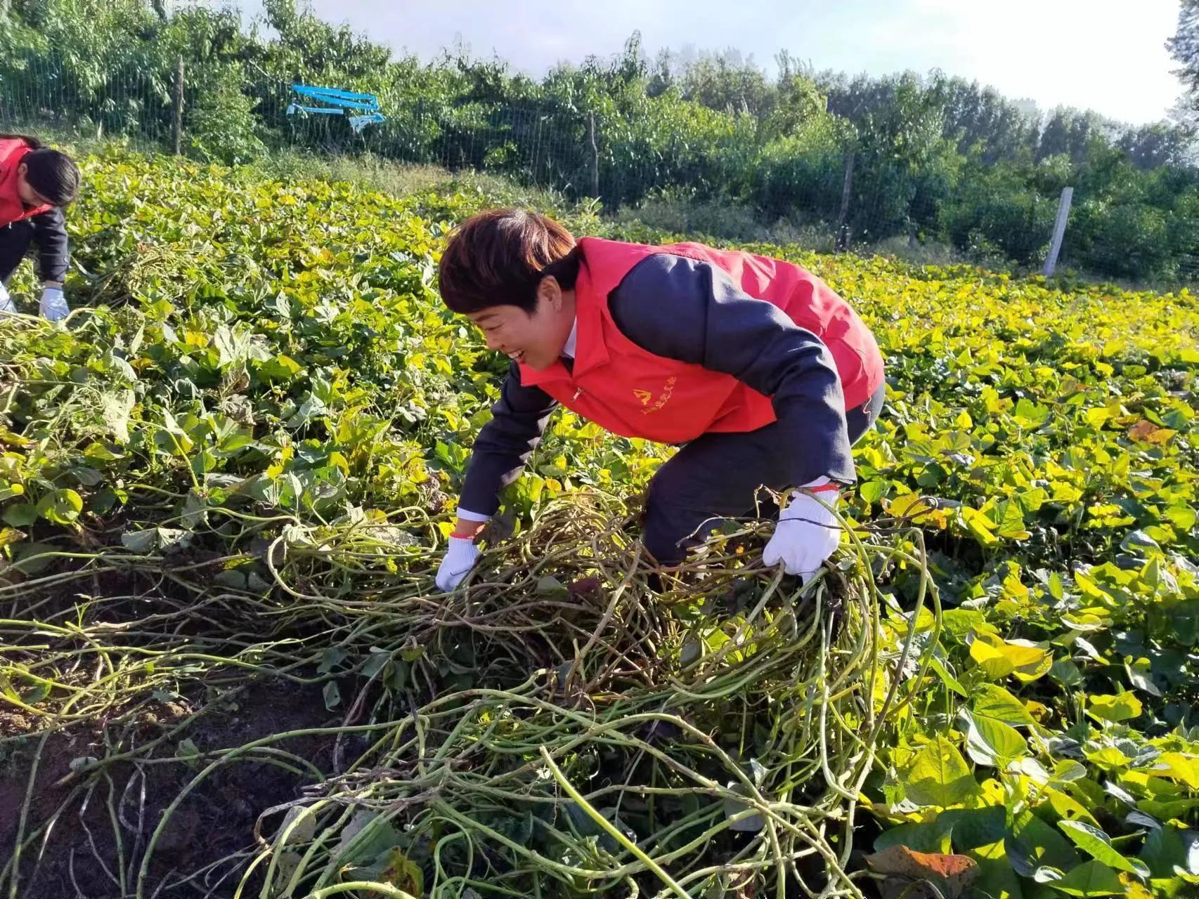 疫情无情人间有情正能量,疫情无情人有情互帮互助显大爱