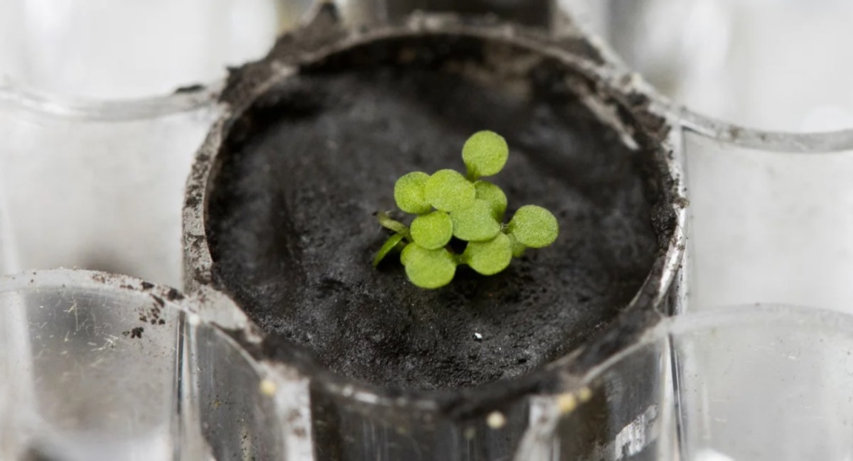 1.5克重礼送到法国和俄罗斯，NASA局长曾开口要，中方已读不回