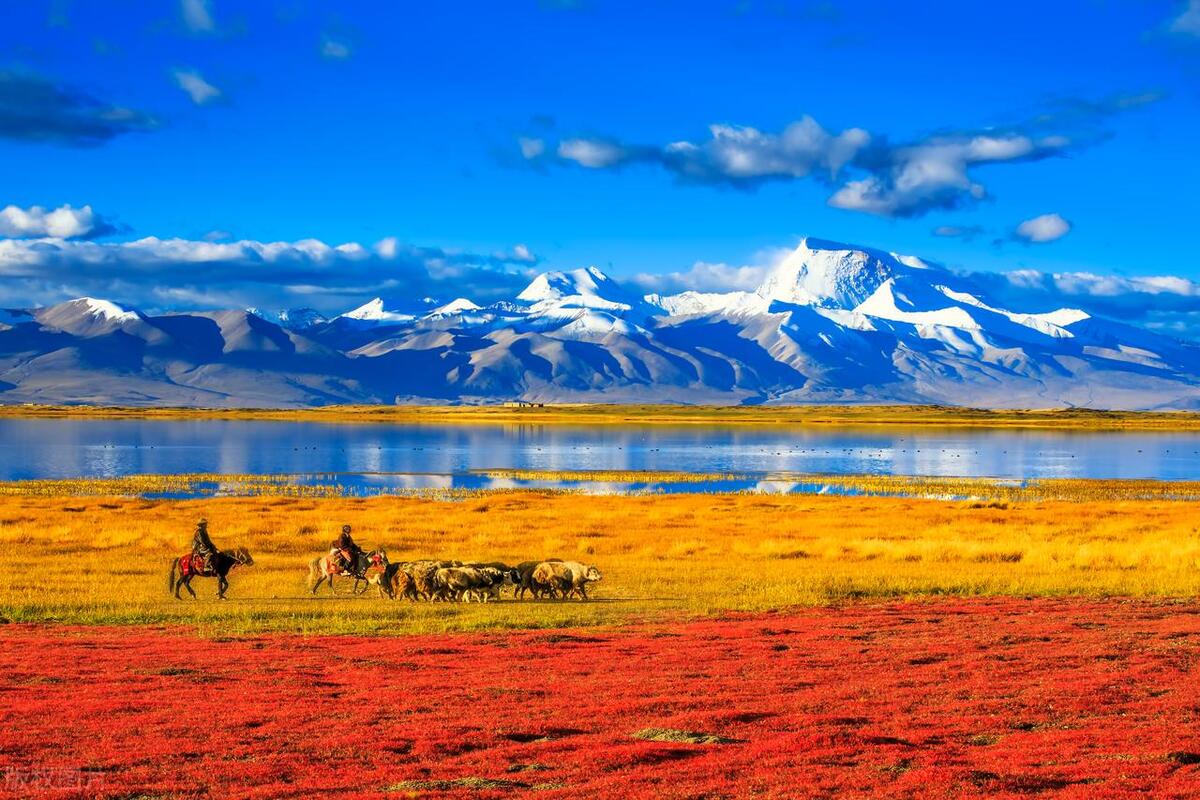 藏西旅游线路,藏西什么季节去最合适