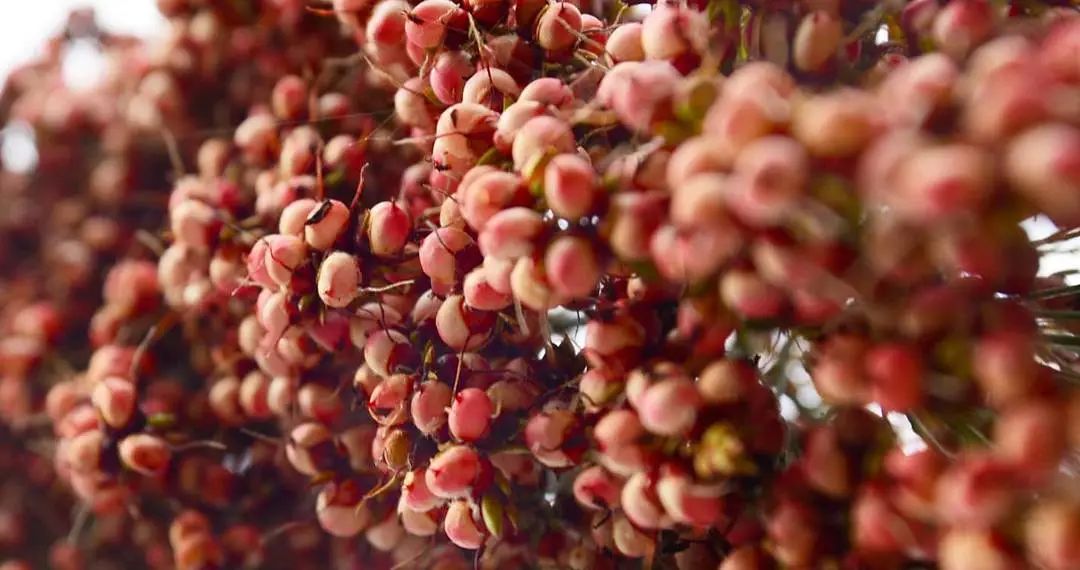 97年香港回归酒多少钱一瓶,1997香港回归纪念酒价值多少