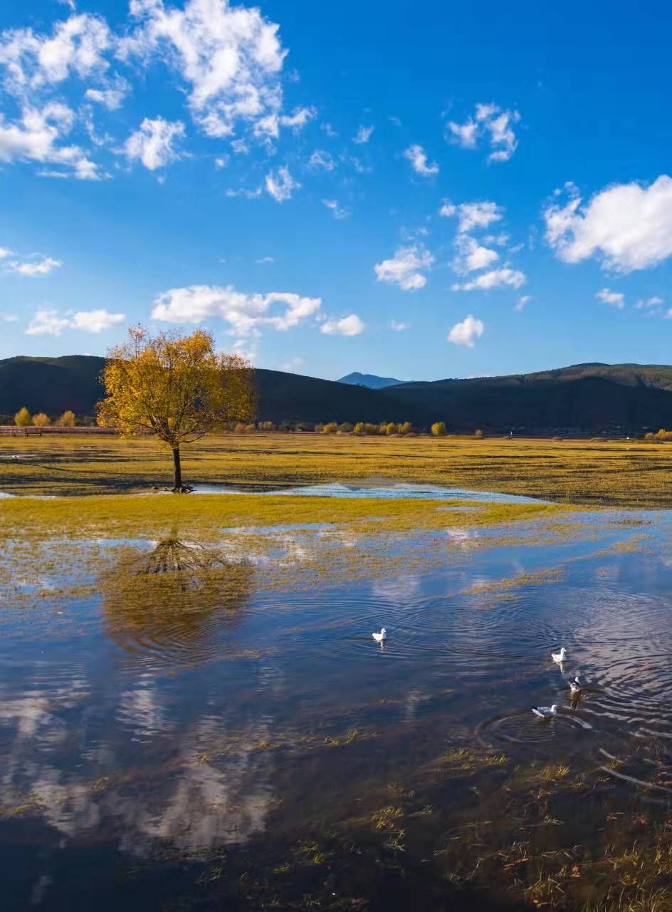 有一种云南生活叫丽江生活,有一种叫云南的生活歌词