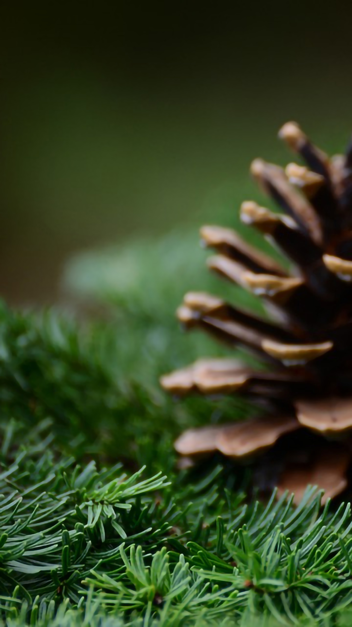 好看的手机桌面壁纸和锁屏壁纸,总有一张壁纸适合你手机屏保精选