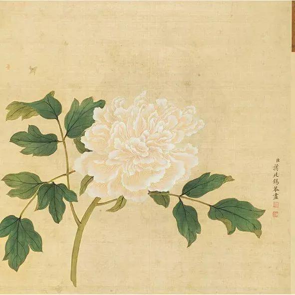 蒋廷锡牡丹画法,蒋廷锡百种牡丹画法