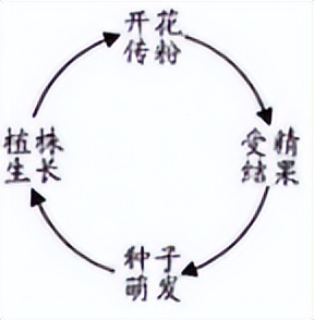 2022初中生物会考真题及答案,2022初中生物测试卷