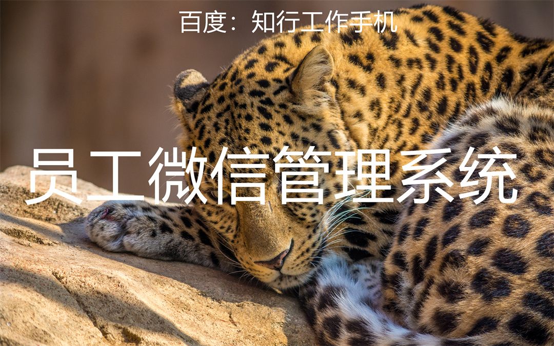 助力销售，创新与效率的双重选择——知行工作手机微信管理软件