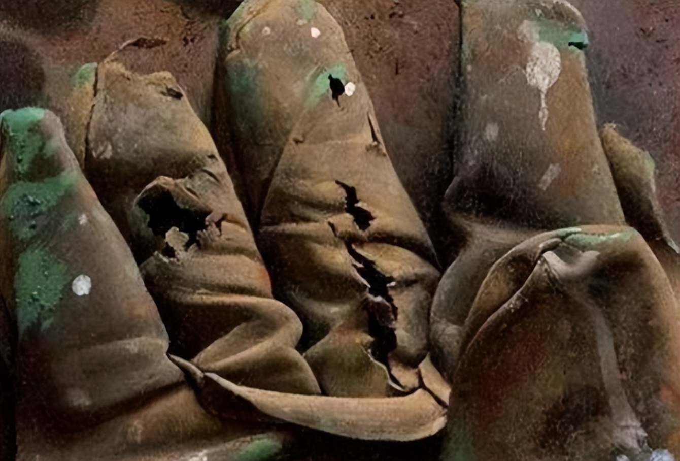 冷军手相,手相冷军