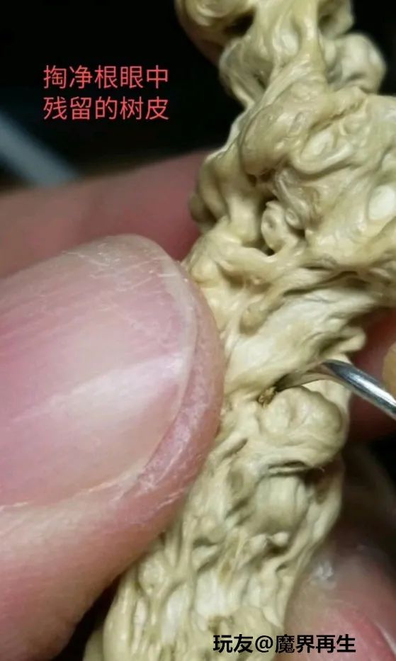 傻狍子角手把件,傻狍子的角掉了还能长出来吗