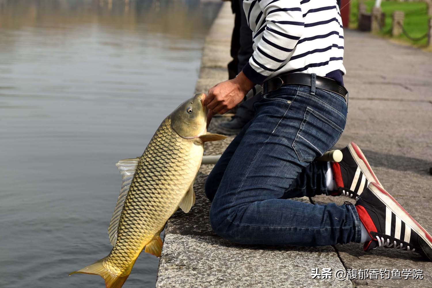 野钓用饵料钓大鱼,天天钓鱼用什么饵料能钓大鱼