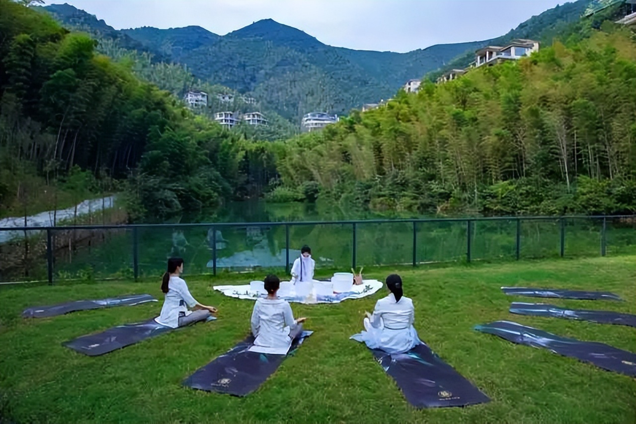 南山竹海御水温泉竹溪谷酒店,御水温泉竹溪谷酒店赏竹